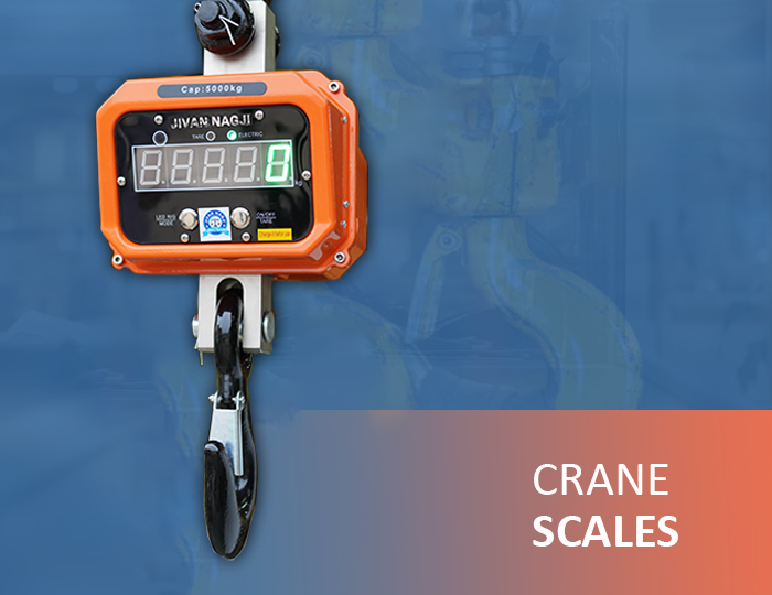 Crane Scales