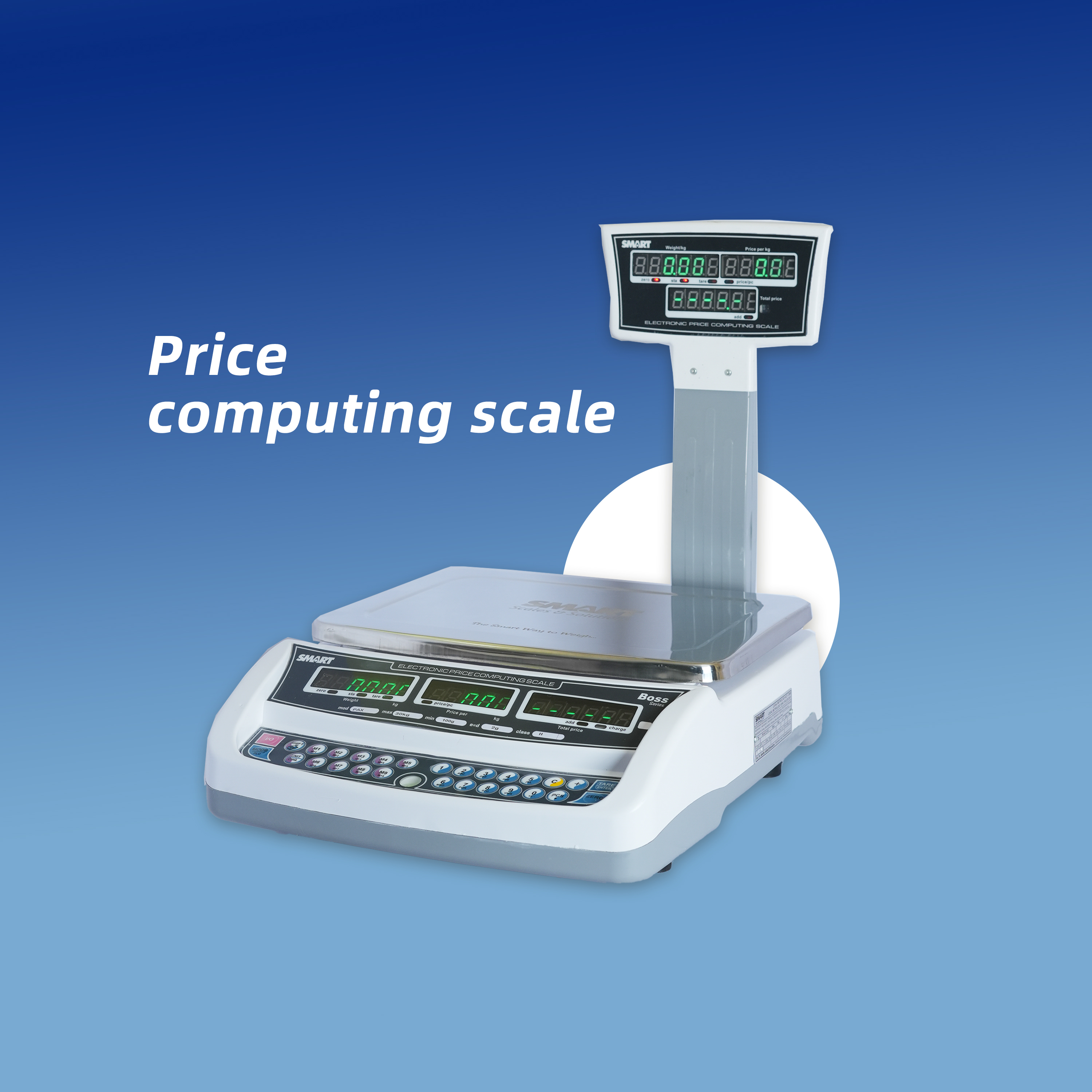 Price Computing Scale